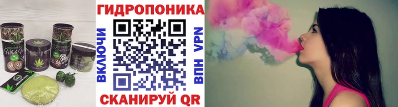 закладка  Суджа  Canna-Cookies конопля 