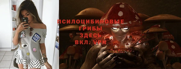 эйфоретик Аркадак