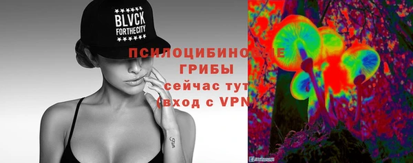 МДПВ Арсеньев