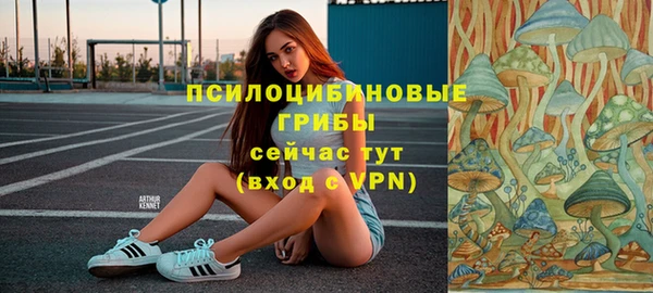 эйфоретик Аркадак
