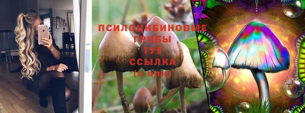 эйфоретик Аркадак