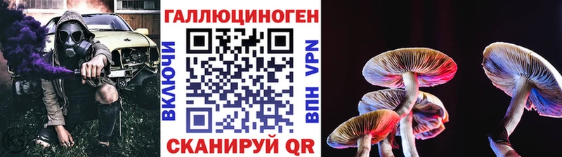 ссылка на мегу сайт  Суджа  Галлюциногенные грибы Magic Shrooms 